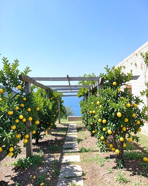 Ambientazione Giardino di limoni senza persone
